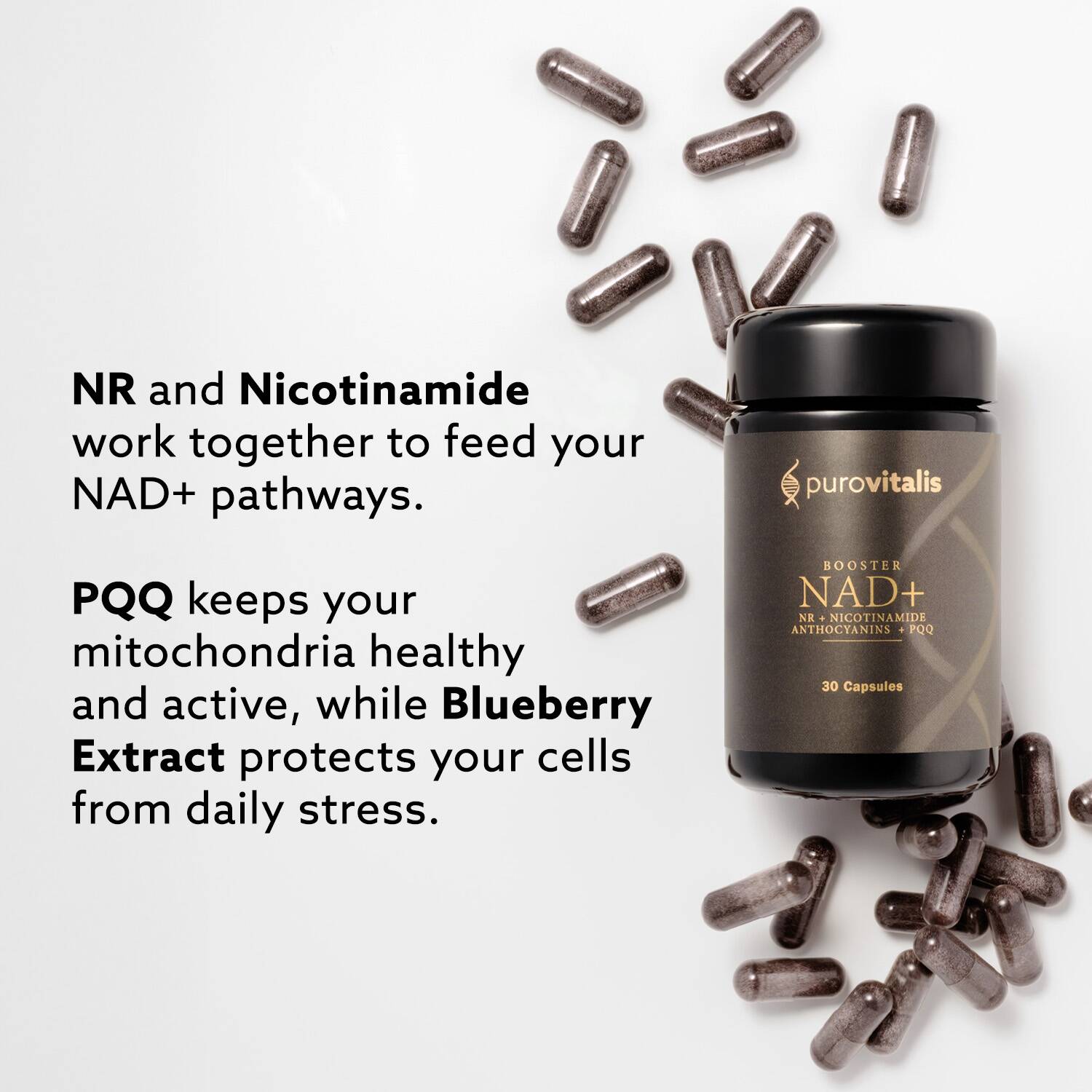 NAD+ Booster v kapslích - Purovitalis